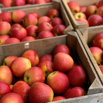 Urlaub in Südtirol: Molaris Lodges Urlaub in Südtirol: Molaris Lodges