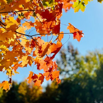 Urlaub in Südtirol: Molaris Lodges Urlaub in Südtirol: Molaris Lodges